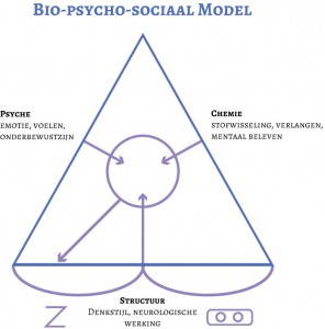 biopsychomodel1